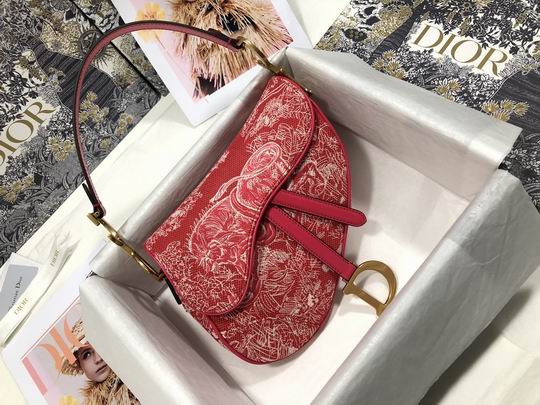 Dior Saddle Bag