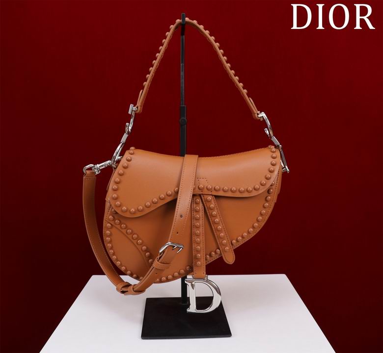 Dior Saddle Bag