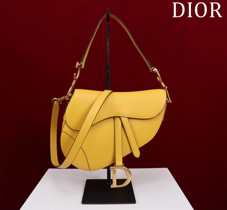 Dior Saddle Bag