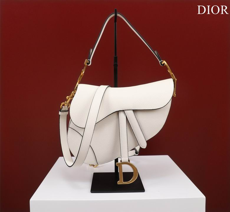 Dior Saddle Bag