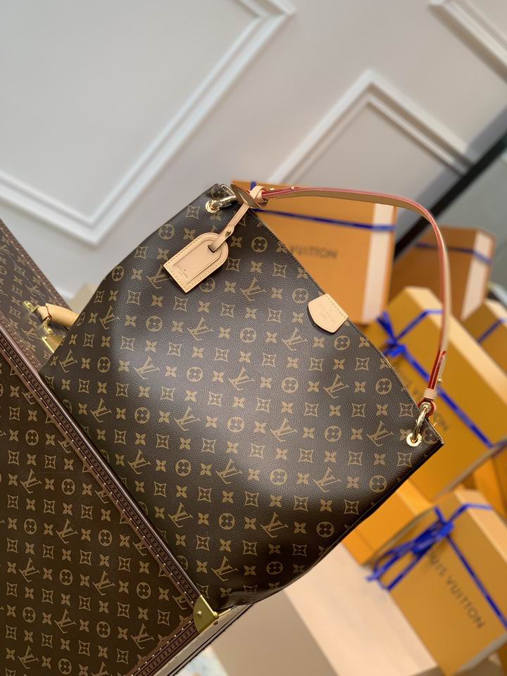Louis Vuitton Bag