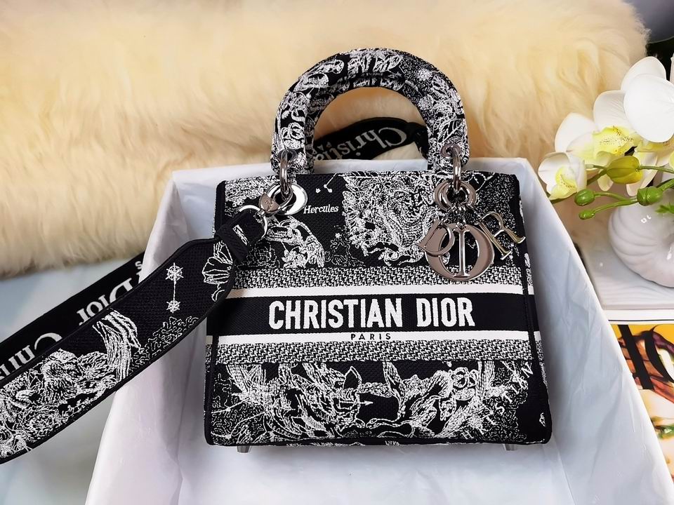 Lady Dior 24cm