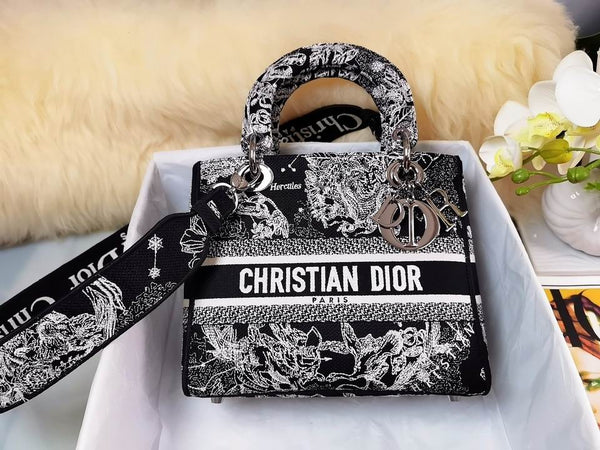 Lady Dior 24cm