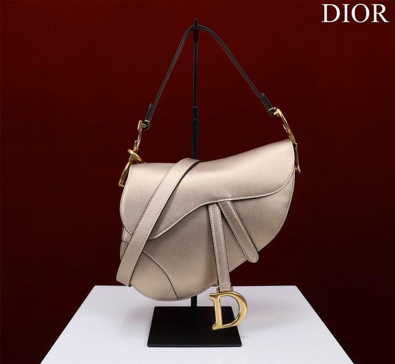 Dior Saddle Bag